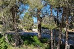 Thumbnail 24 van Villa zum kauf in Pedreguer / Spanien #60388