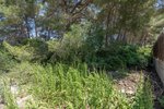 Thumbnail 3 van Grundstück zum kauf in Jávea / Spanien #59026