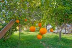 Thumbnail 32 van Villa zum kauf in Benissa / Spanien #59663