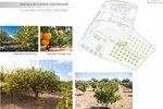 Thumbnail 60 van Villa zum kauf in Altea / Spanien #59945