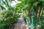 Thumbnail 15 van Appartement zum kauf in Marbella / Spanien #58399