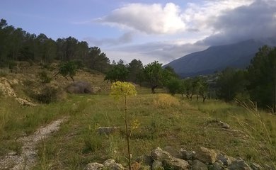 Grundstück zum kauf in Benissa / Spanien