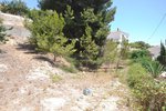Thumbnail 1 van Grundstück zum kauf in Benissa / Spanien #47743