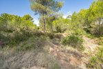 Thumbnail 4 van Grundstück zum kauf in Jávea / Spanien #59059